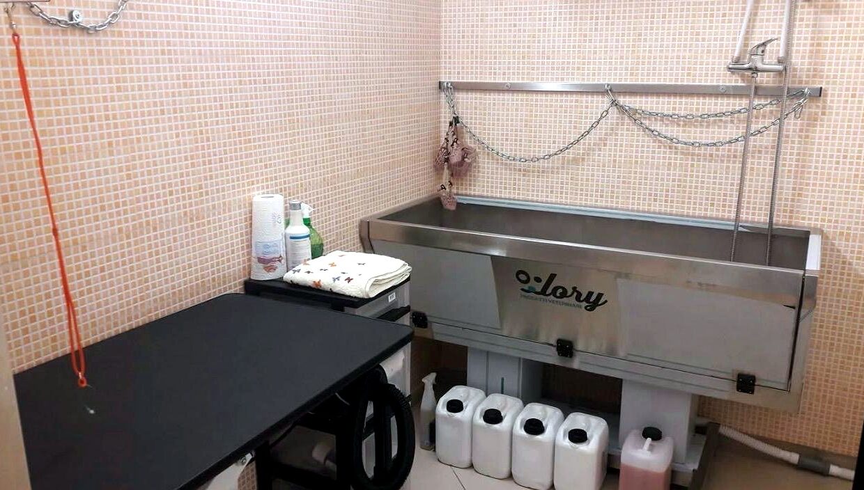foto_interno_02